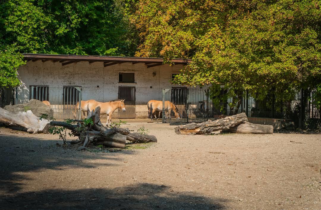 Zoologischer Garten Leipzig